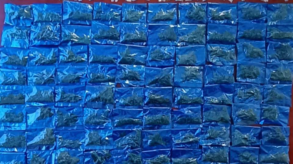 Asegura Gobierno de Sonora más de 100 envoltorios de narcótico en Hermosillo